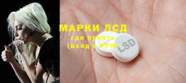 spice Инсар