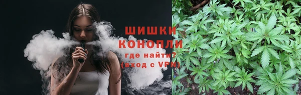 spice Инсар