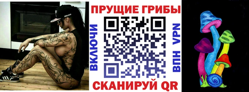 Галлюциногенные грибы Psilocybe  Купить закладки  Лениногорск 